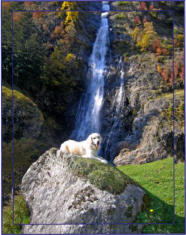 Partschinser Wasserfall