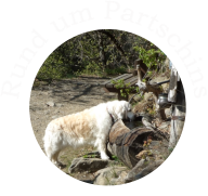 Rund um Partschins
