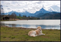 Weiensee Richtung sterreich