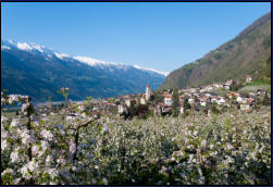 Blick ber Partschins Richtung Vinschgau