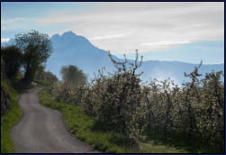 Blick ber die Apfelwiesen Richtung Hafling