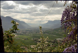 Blick ber den Meraner Talkessel Richtung Bozen