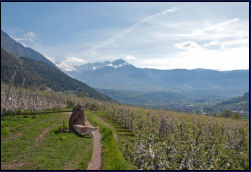 Blick ber Meran Richtung Hafling