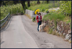 Auf dem Weg nach Vertigen