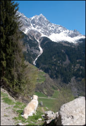 Lilli geniet die Aussicht
