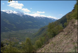 Blick vom Partschinser Hhenweg in den Vinschgau