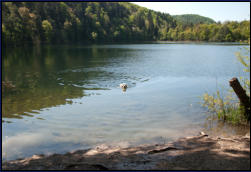 Lilli im kleinen Montiggler See