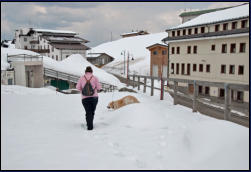 Versuch, nicht im Schnee zu versinken