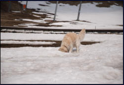 Lilli sucht im Loch