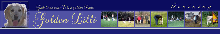 Training  Godelinde von Tobi’s golden Lana Golden Lilli
