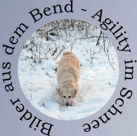Bilder aus dem Bend - Agility im Schnee