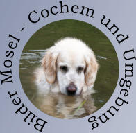 Bilder Mosel - Cochem und Umgebung