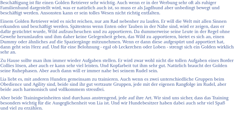 Beschäftigung ist für einen Golden Retriever sehr wichtig. Auch wenn er in der Werbung sehr oft als ruhiger Familienhund dargestellt wird, was er natürlich auch ist, so muss er als Jagdhund aber unbedingt bewegt und beschäftigt werden. Ansonsten kann er sein tolles Wesen nicht richtig entfalten. Einem Golden Retriever wird es nicht reichen, nur am Rad nebenher zu laufen. Er will die Welt mit allen Sinnen erkunden und beschäftigt werden. Spätestens wenn Enten oder Tauben in der Nähe sind, wird er zeigen, dass er dafür gezüchtet wurde, Wild aufzuscheuchen und zu apportieren. Da dummerweise seine Leute in der Regel ohne Gewehr herumlaufen und ihm daher keine Gelegenheit geben, das Wild zu apportieren, bietet es sich an, einen Dummy oder ähnliches auf die Spaziergänge mitzunehmen. Wenn er dann diese aufgespürt und apportiert hat, dann geht sein Herz auf. Und für eine Belohnung - egal ob Leckerchen oder Loben - strengt sich ein Golden wirklich sehr an. Zu Hause sollte man ihm immer wieder Aufgaben stellen. Er wird zwar wohl nicht die tollen Aufgaben eines Border Collies lösen, aber auch er kann sehr viel leisten. Und Kopfarbeit tut ihm sehr gut. Natürlich braucht der Golden seine Ruhephasen. Aber auch dann will er immer nahe bei seinem Rudel sein. Lia liebt es, mit anderen Hunden gemeinsam zu trainieren. Auch wenn es zwei unterschiedliche Gruppen beim Obedience und Agility sind, beide sind ihr gut vertraute Gruppen, jede mit der eigenen Rangfolge im Rudel, aber beide auch harmonisch und vollkommem stressfrei. Aber beide Trainingseinheiten sind durchaus anstrengend, jede auf ihre Art. Wir sind uns sicher, dass das Training besonders wichtig für die Ausgeglichenheit von Lia ist. Und wir Hundebesitzer haben dabei auch sehr viel Spaß und viel zu erzählen.