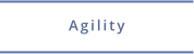 Agilitytraining