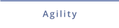 Agilitytraining