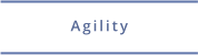 Agilitytraining