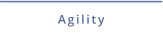 Agilitytraining