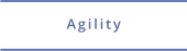 Agilitytraining