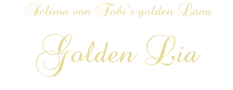 Selima von Tobi’s golden Lana Golden Lia