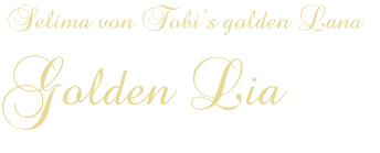 Selima von Tobi’s golden Lana Golden Lia