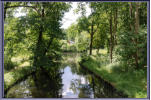 Spreewald bei Burg/Kauper