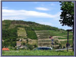 Weinbaugebiet Saale-Unstrut